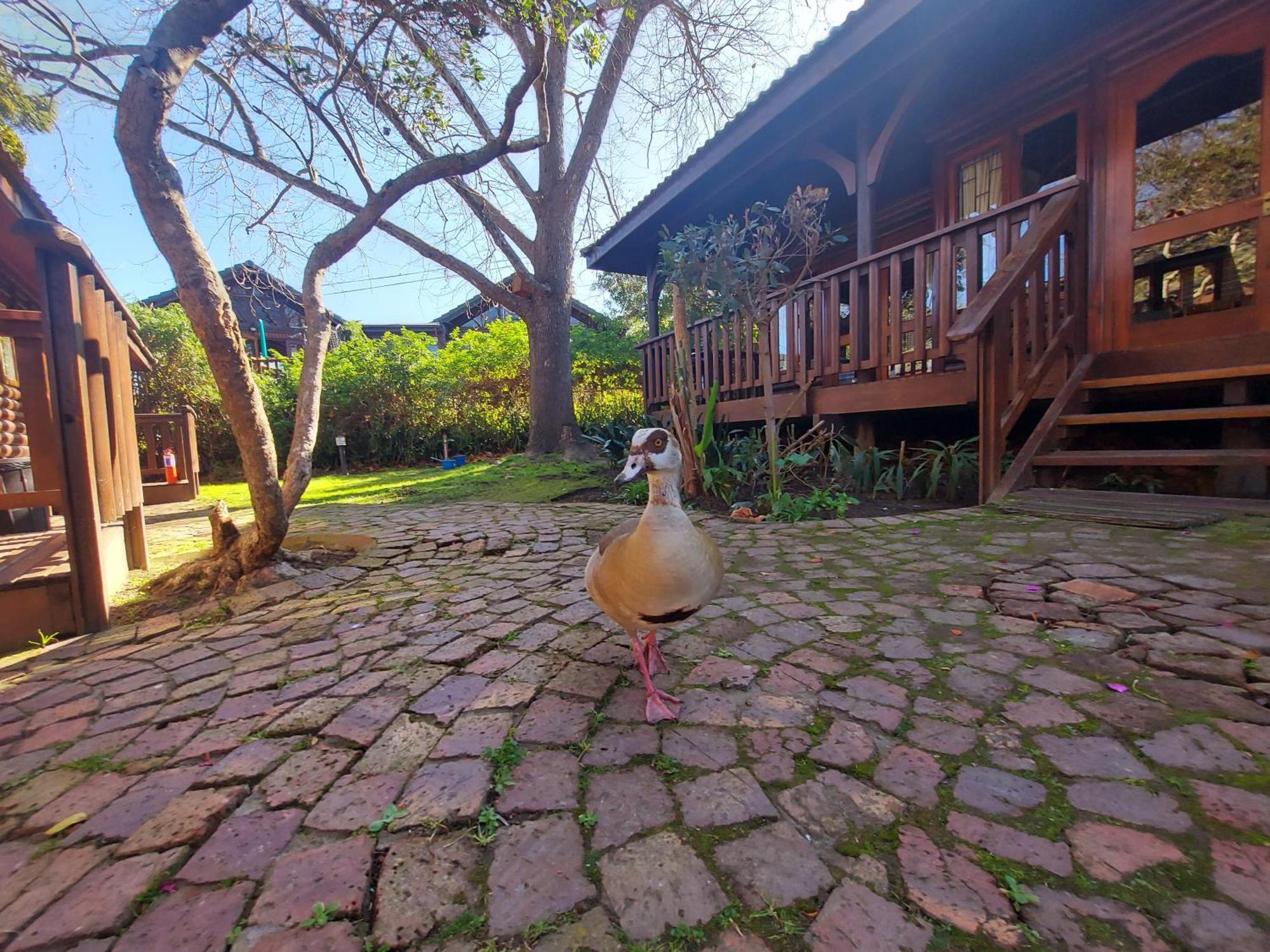 Knysna River Club By First Private Stays Exterior photo